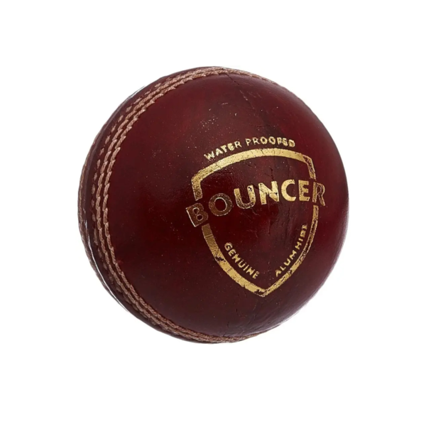 Cricket ball